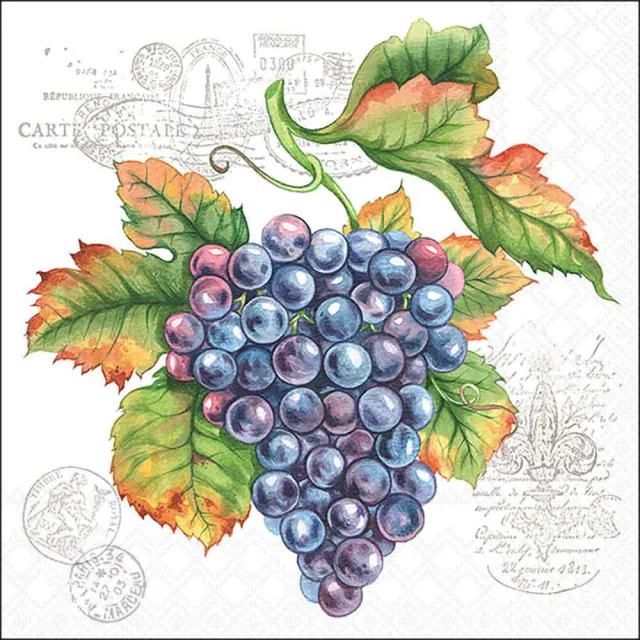 Tovaglioli in Carta FSC a 3 Veli 33 x 33 cm Grape Vine - 20 pezzi