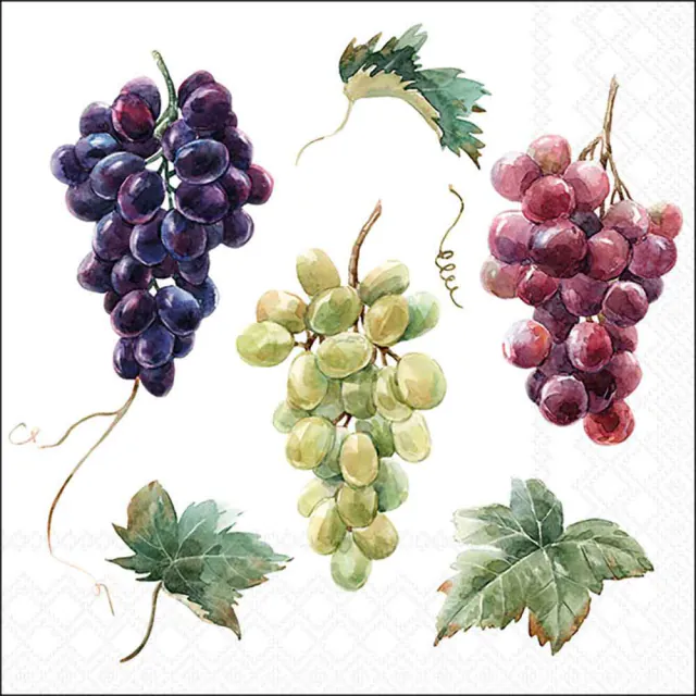 Tovaglioli in Carta FSC a 3 Veli 33 x 33 cm Wine & Grapes - 20 pezzi