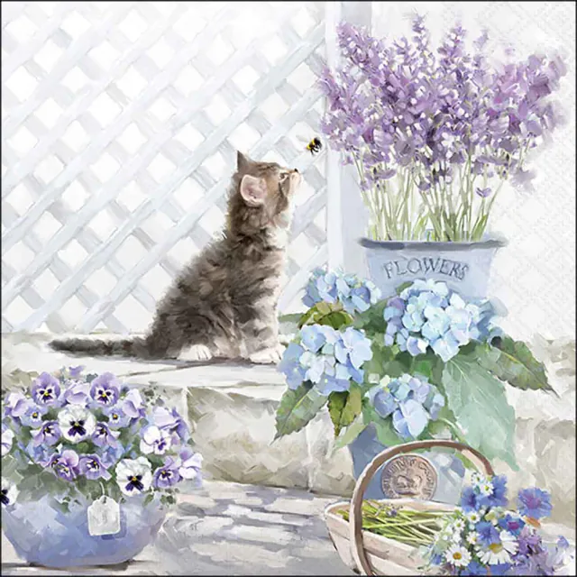 Tovaglioli in Carta FSC a 3 Veli 33 x 33 cm Kitten - 20 pezzi