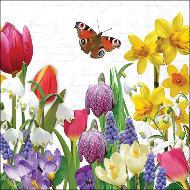 Tovaglioli in Carta FSC a 3 Veli 33 x 33 cm Spring Feeling - 20 pezzi