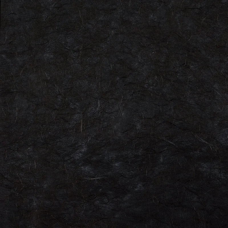 Rotolo Carta Riso Nero