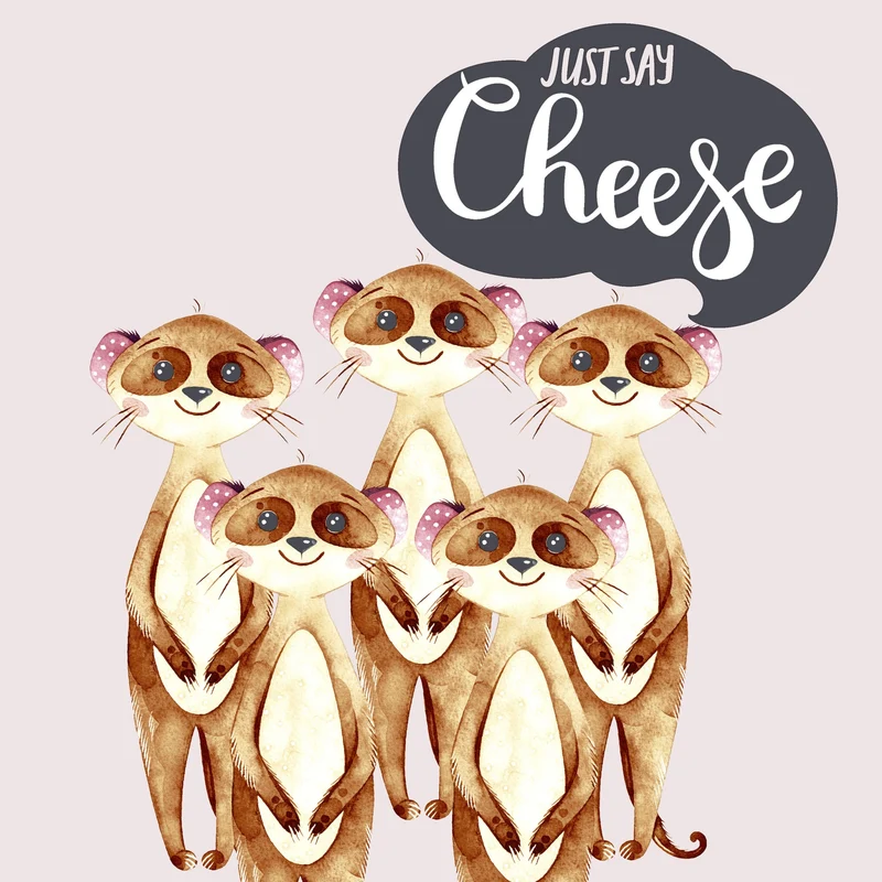 Tovaglioli in Carta Riciclata a 2 Veli Say Cheese 33 x 33 cm - 20 pezzi