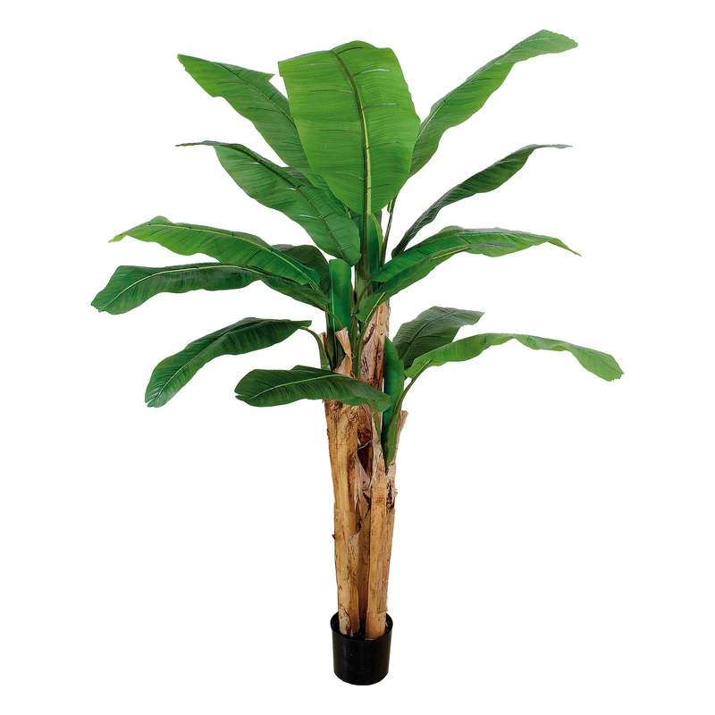 Pianta Artificiale Banano Con Vaso D17xh220