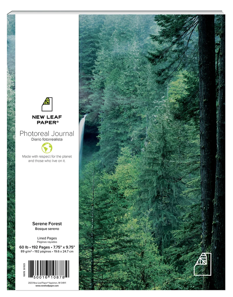 Photoreal Journal - Serene Forest