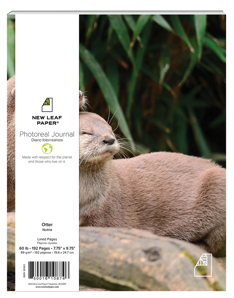 Photoreal Journal - Friendly Otters
