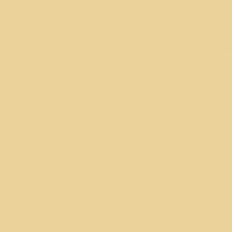 Gres Porcellanato Effetto Tinta unita Rettificato Naturale 120x120 6mm Buttercream Crayons - Florim