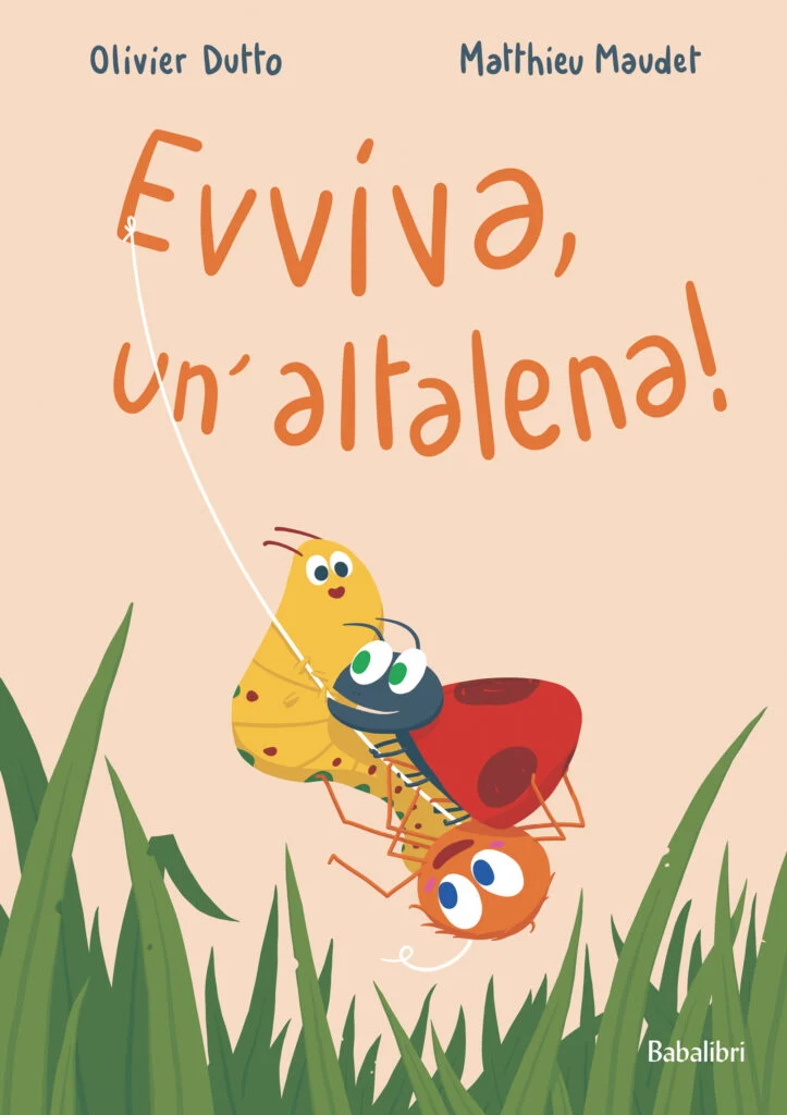 Libro Evviva , un 'altalena ! - Babalibri
