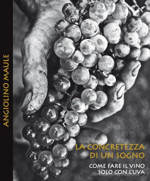 Libro La concretezza di un sogno. Come fare il vino solo con l'uva. di Angiolino Maule - Dal Maso