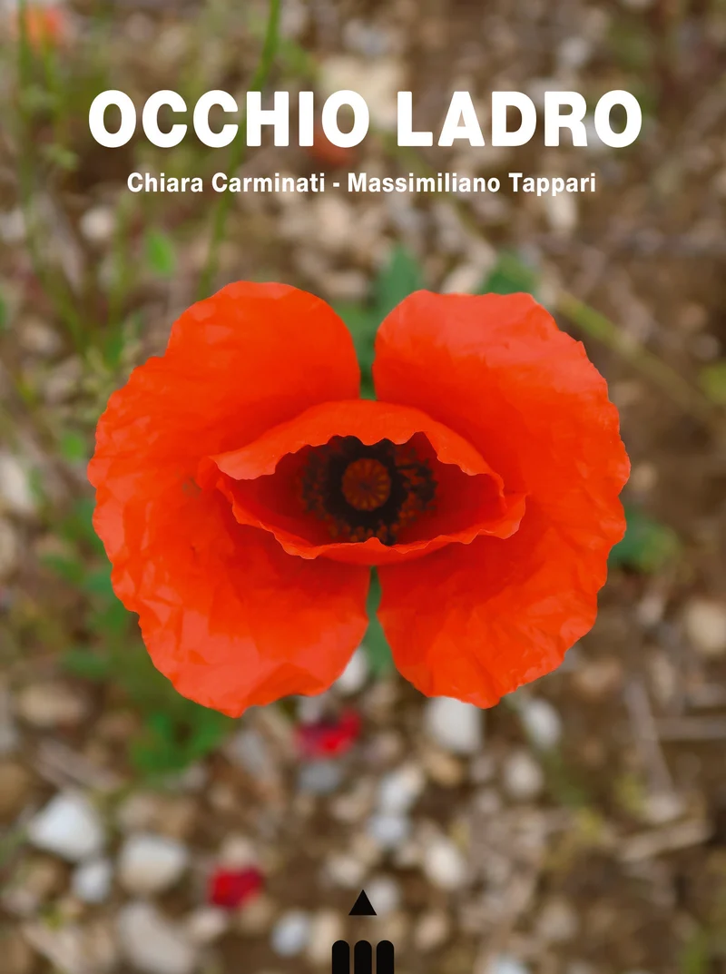 Libro Occhio ladro - Lapis