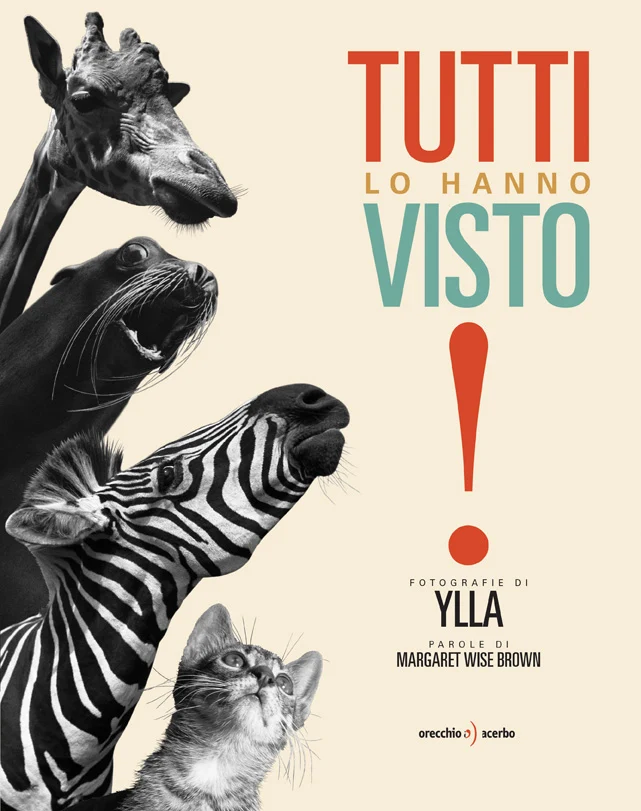 Libro Tutti lo hanno visto! - Orecchio Acerbo