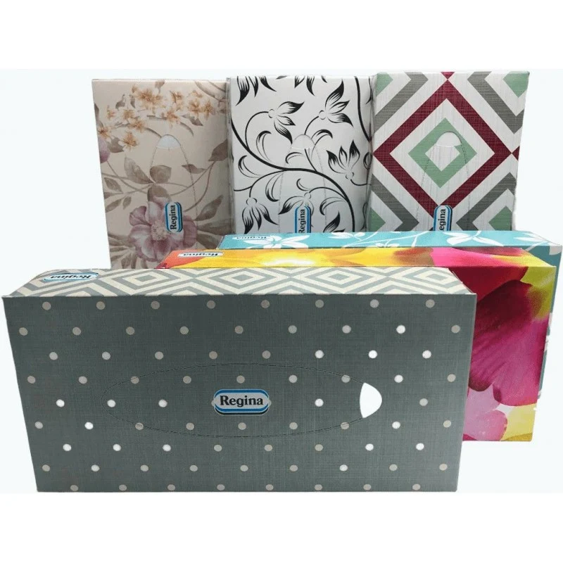 Regina Fazzoletti Veline 2veli pz 100 – Cartone 20 pz