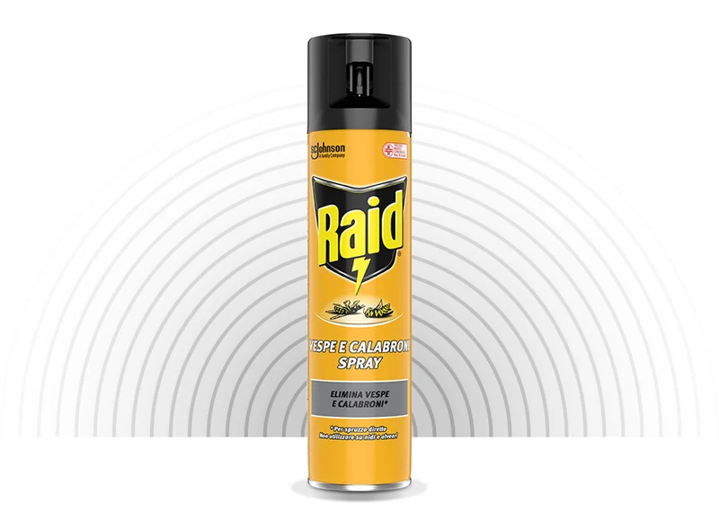 Raid Spray Vespe&calabroni 400ml – Cartone 12 pz