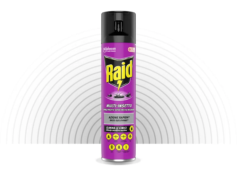 Raid Spray Multi-insetto 400ml – Cartone 12 pz
