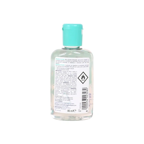 Amuchina GEL Igienizzante Mani Aloe 80ml – Cartone 12 pz