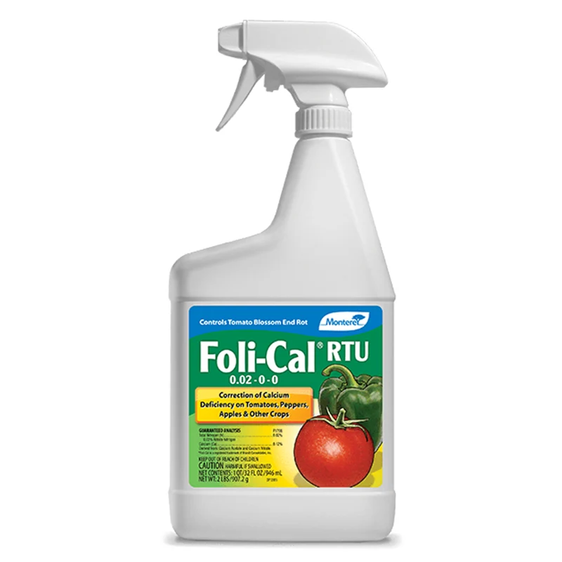 Foli' Riutilizz Diam 32cm – Cartone 36 pz
