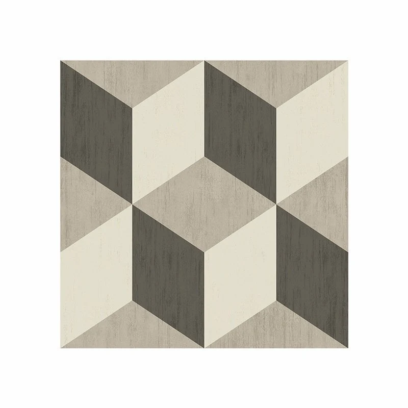 Gres Porcellanato Effetto Cemento Naturale 20x20 Roman Ornamenta - Gammadue