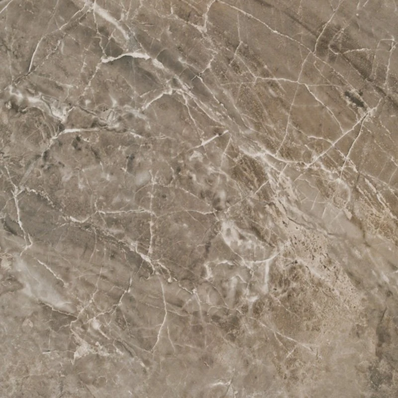 Gres Porcellanato Effetto Marmo Naturale 58.5x58.5 Grigio onice Marble - Gardenia Orchidea
