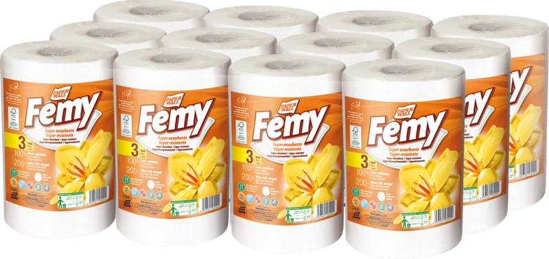 Bobina Professionale FSCFEMY 3 Veli Certificata FSC - 208 Strappi Center Pull - 12 Rotoli Imbustati