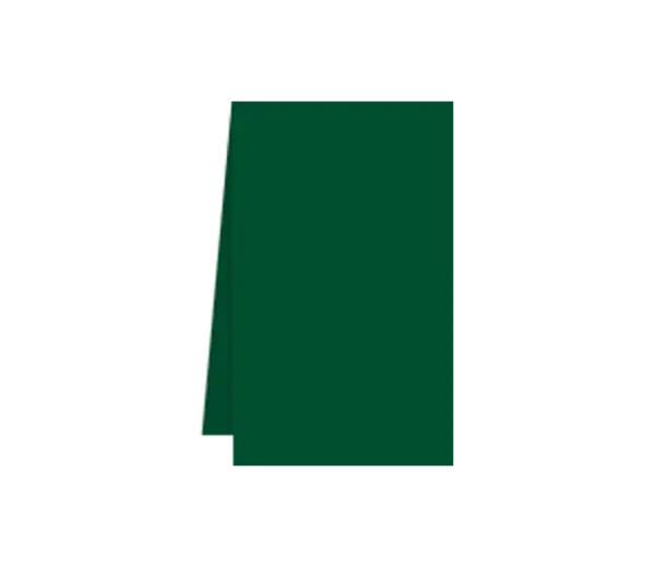 Tovaglie Airlaid Monouso 100x100 cm Verde Foresta | SOLEPLASTIC