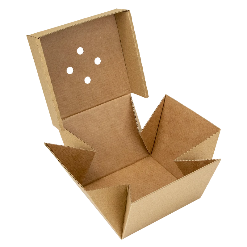Burger Box