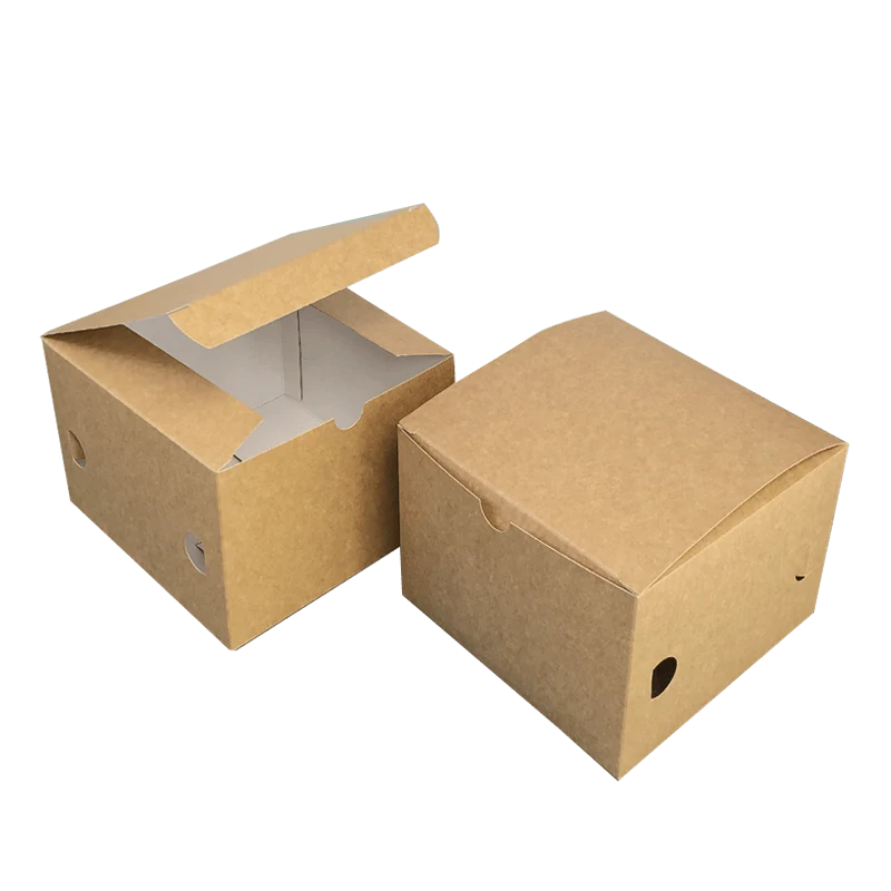 Box Panino