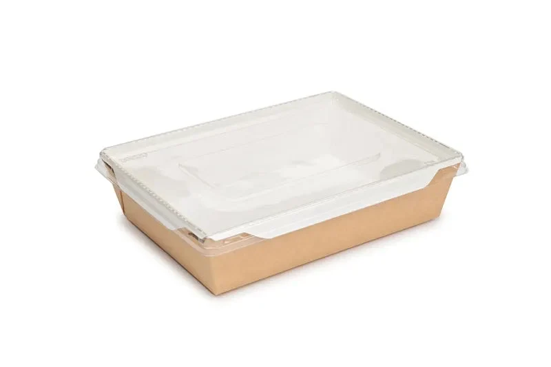 Box eco opsalad misura 220X160X55mm/1000ml Con coperchio