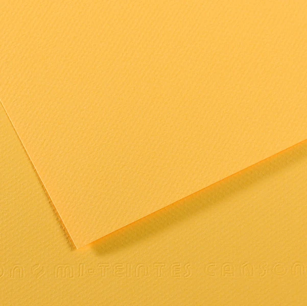 CANSON - C31032S018 - Foglio Mi-Teintes - A4 - 160 gr - botton d'oro - Canson - 92876 - Conf. da 25 Pz.