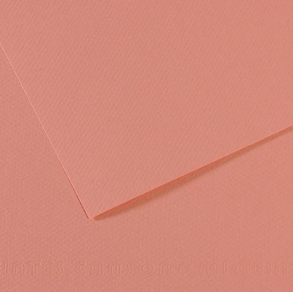 CANSON - C31032S016 - Foglio Mi-Teintes - A4 - 160 gr - rosa scuro - Canson - 92873 - Conf. da 25 Pz.