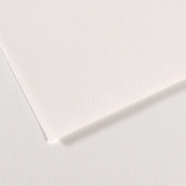CANSON - C31027S001 - Foglio Mi-Teintes - A4 - 160 gr - bianco - Canson - 92868 - Conf. da 25 Pz.