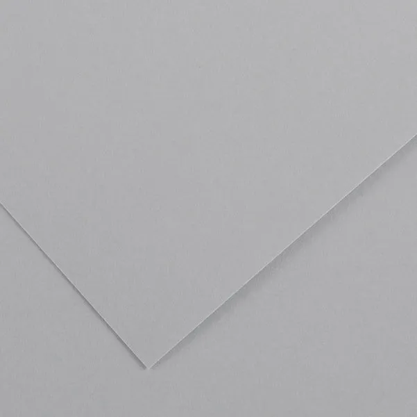 CANSON - 200041221 - Foglio Colorline - 70x100 cm - 220 gr - grigio chiaro - Canson - 85592 - Conf. da 25 Pz.