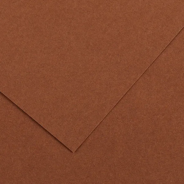 CANSON - 200041220 - Foglio Colorline - 70x100 cm - 220 gr - cioccolato - Canson - 85591 - Conf. da 25 Pz.