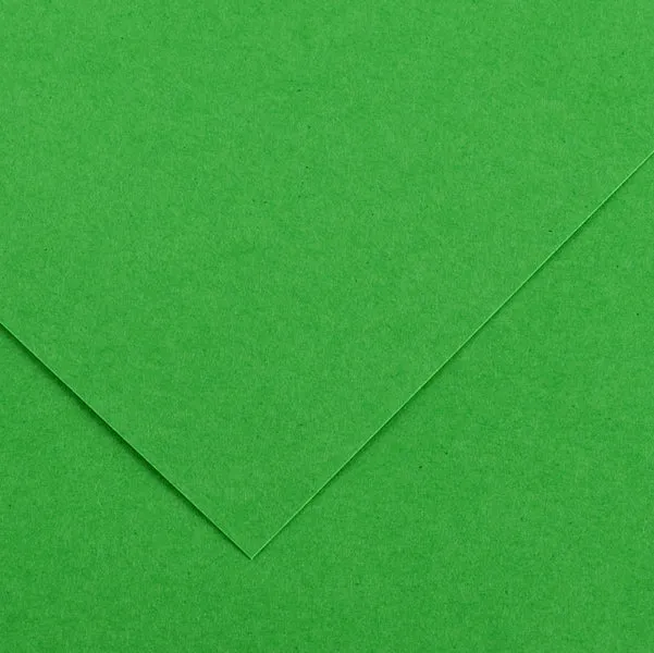 CANSON - 200041215 - Foglio Colorline - 70x100 cm - 220 gr - verde brillante - Canson - 85586 - Conf. da 25 Pz.