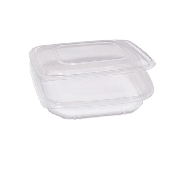 EUROPACK - 48431022 - Contenitori in PP - con coperchio incernierato - 21,5 x 21,5 x 3,4 cm - Europack - pack 50 pezzi - 93194 - Conf. da 1 Pz.