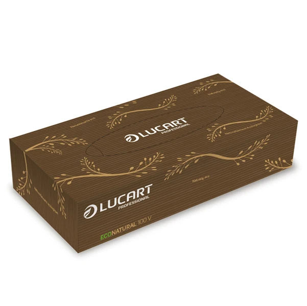 Lucart - 841073 - Veline multiuso Econatural - 2 veli - 21 x 20 cm - Lucart - conf. 100 pezzi - 89402 - Conf. da 1 Pz.