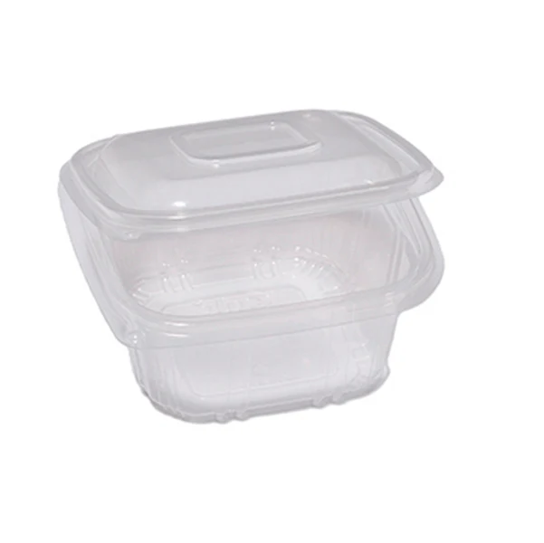 EUROPACK - 48401032 - Contenitori in PP - con coperchio incernierato - 12 x 12 x 5,5 cm - Europack - conf. 50 pezzi - 90551 - Conf. da 1 Pz.