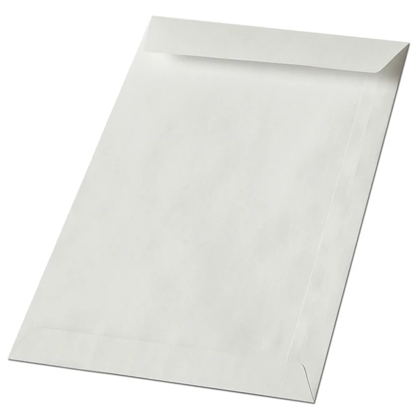 BLASETTI - 303 - Busta a sacco - lembo non gommato - 8 x 12 cm - 50 gr - bianco - Blasetti - conf. 2000 pezzi - 36997 - Conf. da 1 Pz.