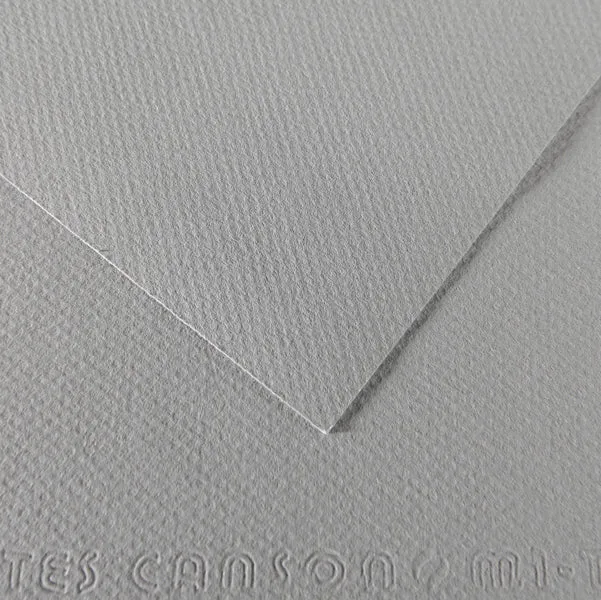 CANSON - C31032S010 - Foglio Mi-Teintes - A4 - 160 gr - grigio flanella - Canson - 92884 - Conf. da 25 Pz.