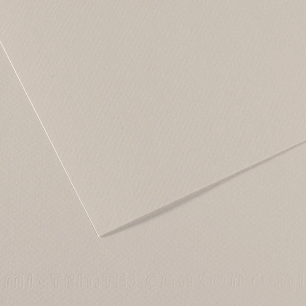 CANSON - C31032S009 - Foglio Mi-Teintes - A4 - 160 gr - grigio perla - Canson - 92869 - Conf. da 25 Pz.