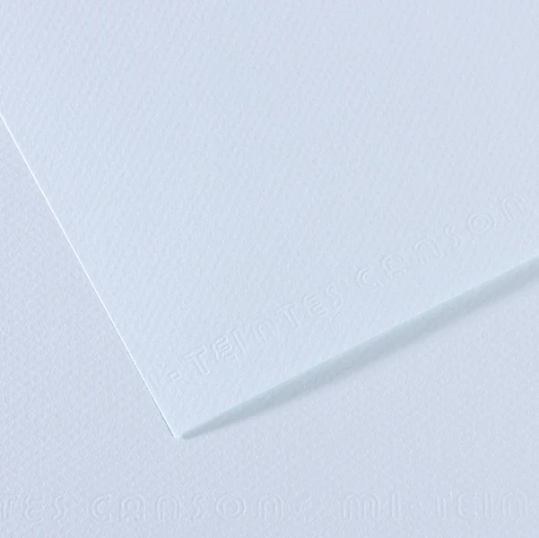 CANSON - C31032S003 - Foglio Mi-Teintes - A4 - 160 gr - azzurro - Canson - 92890 - Conf. da 25 Pz.