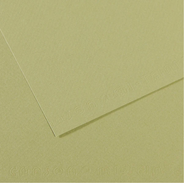CANSON - C31032S022 - Foglio Mi-Teintes - A4 - 160 gr - verde mandorla - Canson - 92882 - Conf. da 25 Pz.