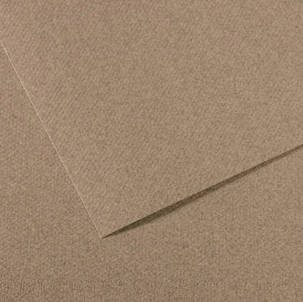CANSON - C31033S035 - Foglio Mi-Teintes - A4 - 160 gr - grigio screziato - Canson - 92885 - Conf. da 25 Pz.
