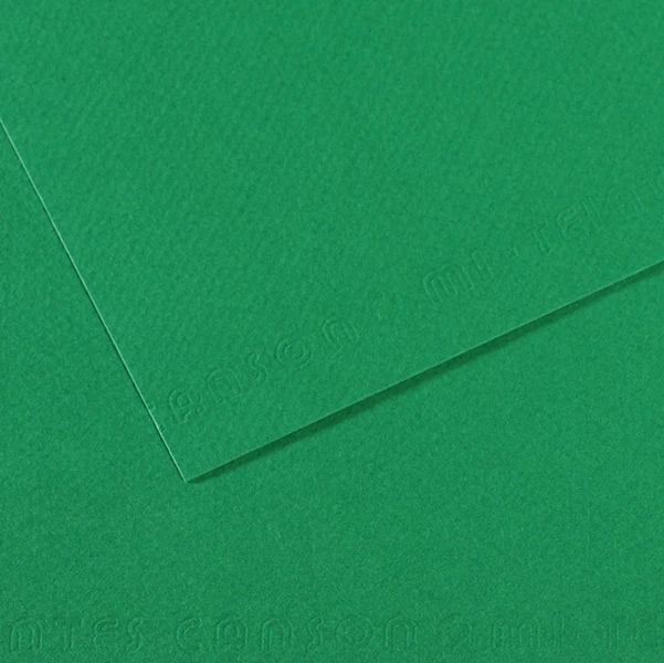 CANSON - C31032S029 - Foglio Mi-Teintes - A4 - 160 gr - verde biliardo - Canson - 92897 - Conf. da 25 Pz.