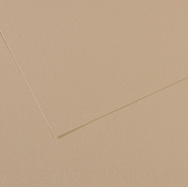 CANSON - C31032S014 - Foglio Mi-Teintes - A4 - 160 gr - grigio trianon - Canson - 92883 - Conf. da 25 Pz.