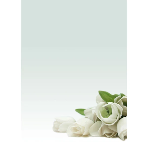 DECADRY - T036126 - Carta con stampa "rosa bianca" - A4 - 90 gr - Decadry - conf. 20 fogli - 76227 - Conf. da 1 Pz.